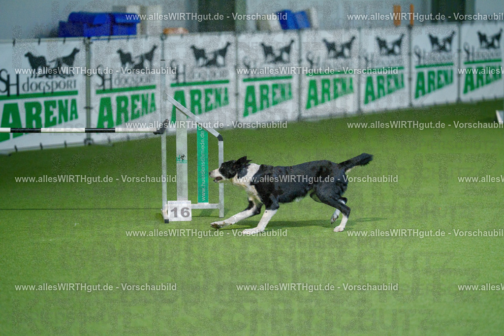 @allesWIRTHgut_Tierfotografie - www.allesWIRTHgut.de - 2604250828-7R506780 | Professionelle Tierfotografie in Mönchengladbach von Daniel Wirth (allesWIRTHgut). Liebevolle & natürliche Bilder von Hunden & Katzen für unvergessliche Erinnerungen.