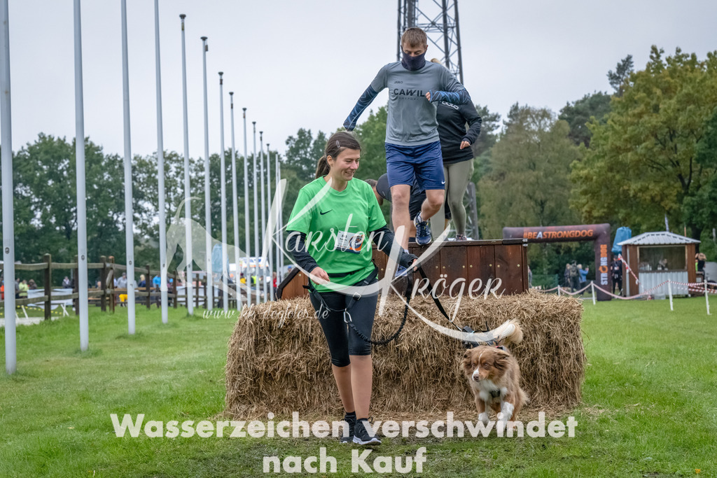 1212--20 | kk-dogfotos