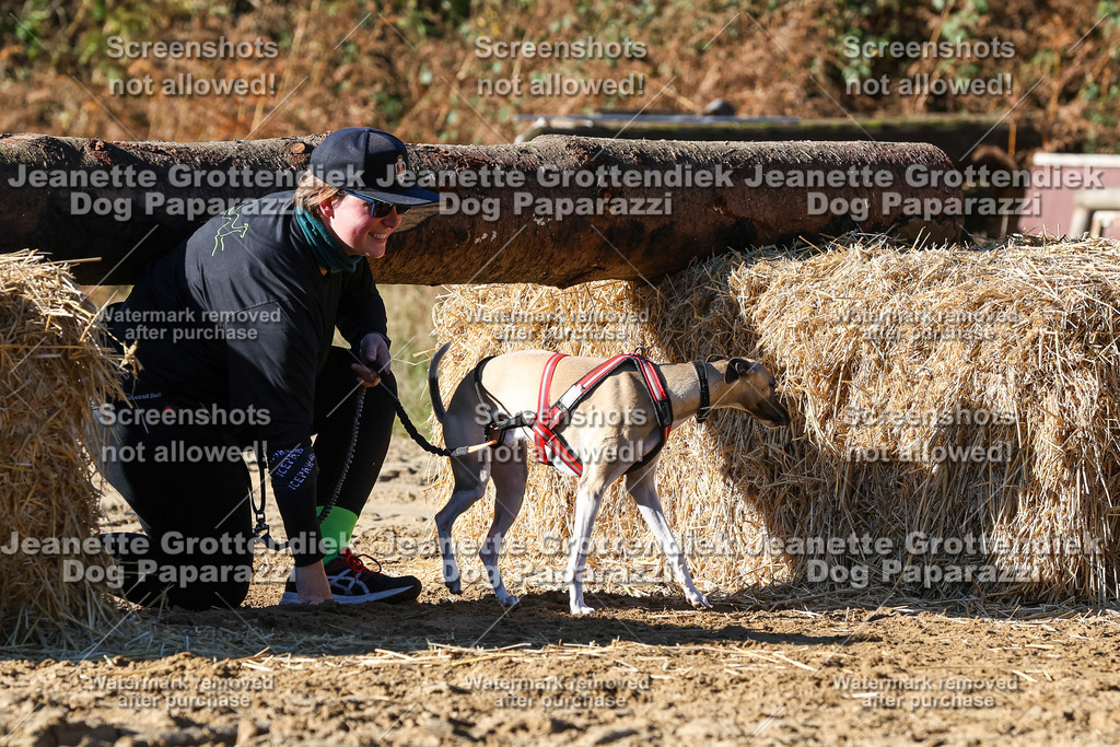 Dog Paparazzi - Strongdog 10-25-2334 | Dog Paparazzi Jeanette Grottendiek Fotografie & Videografie - Realisiert mit Pictrs.com