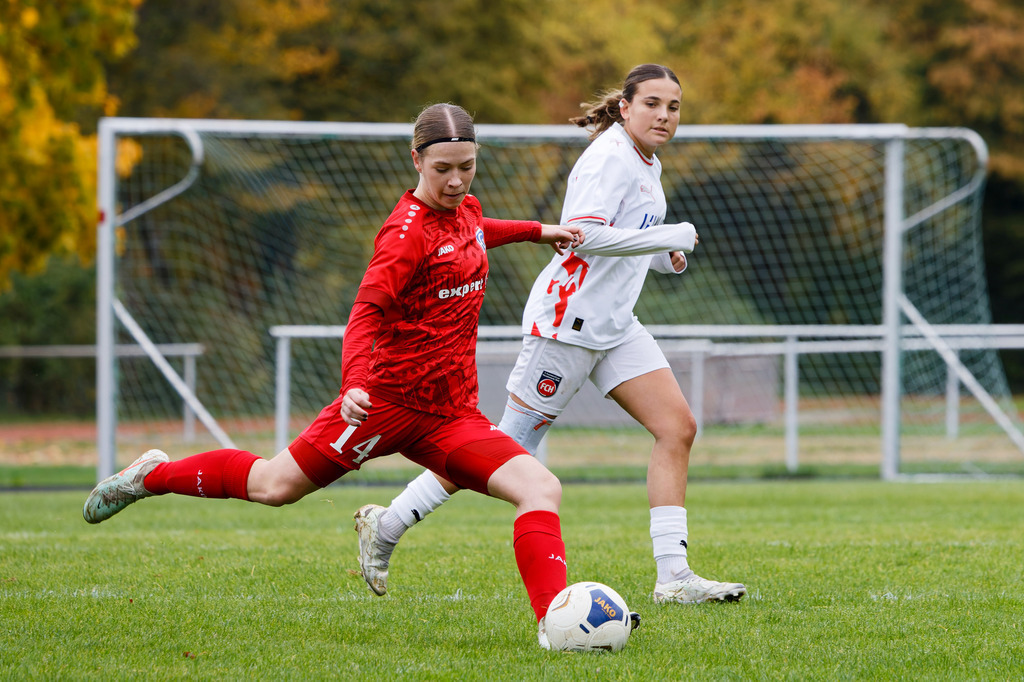 FCEFCH_251012_1045 | Fotopresso – Sportfotografie in Heidenheim & Umgebung. Professionelle Sportfotografie für unvergessliche Momente. Dynamische Action-Shots, emotionale Szenen & hochwertige Bilder. - Realisiert mit Pictrs.com