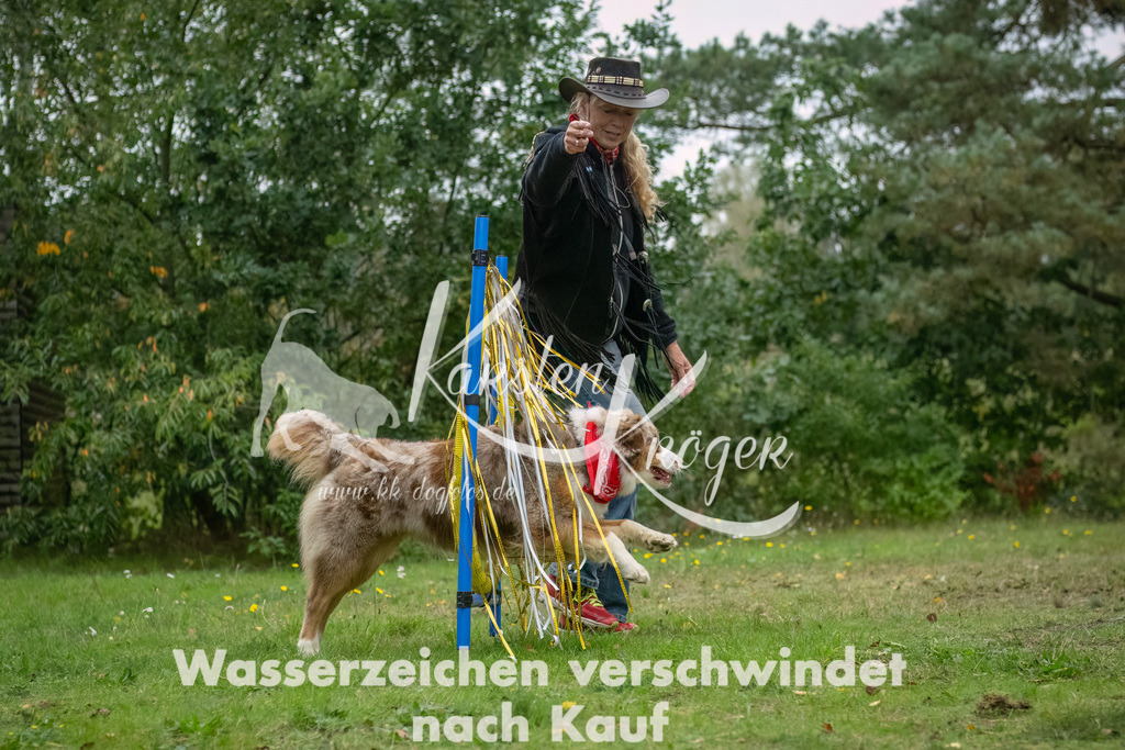 1614_ZZ90084-3-Bearbeitet | kk-dogfotos