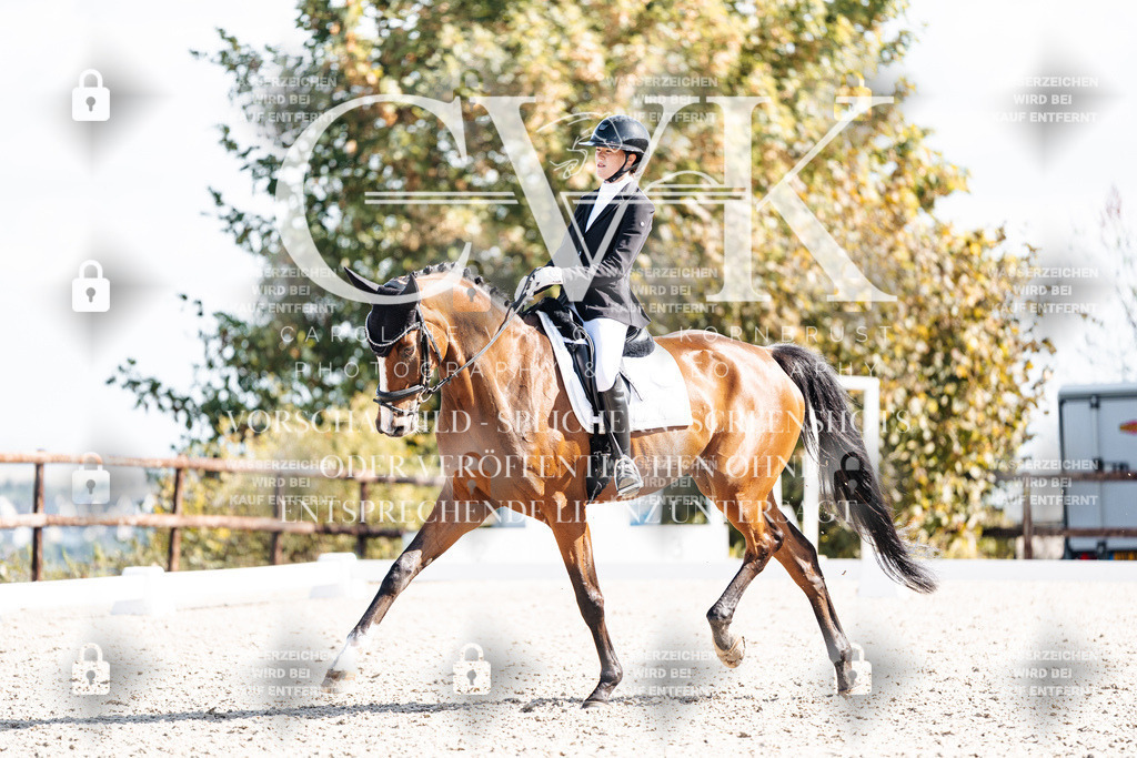 CK902284 | Turnierfotografie Pferdefotografie Trier Rheinland-Pfalz Pferdesport Reitsport Tierfotografie Sportfotografie Pferdevideo Pferdevideografie Equestrianvideography equestrianphotography  - Realisiert mit Pictrs.com
