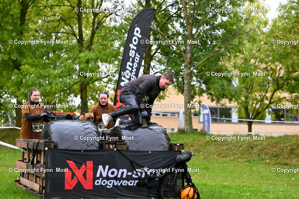 DSC_9303 | Hallo und herzlich Willkommen auf meiner Shop-Seite Fynn Most.

Ich wünsche Dir viel Spaß beim stöbern durch die Bilder, wenn Du Fragen hast oder Bilder vermisst, kannst du mir gerne eine Nachricht schreiben. - Realized with Pictrs.com