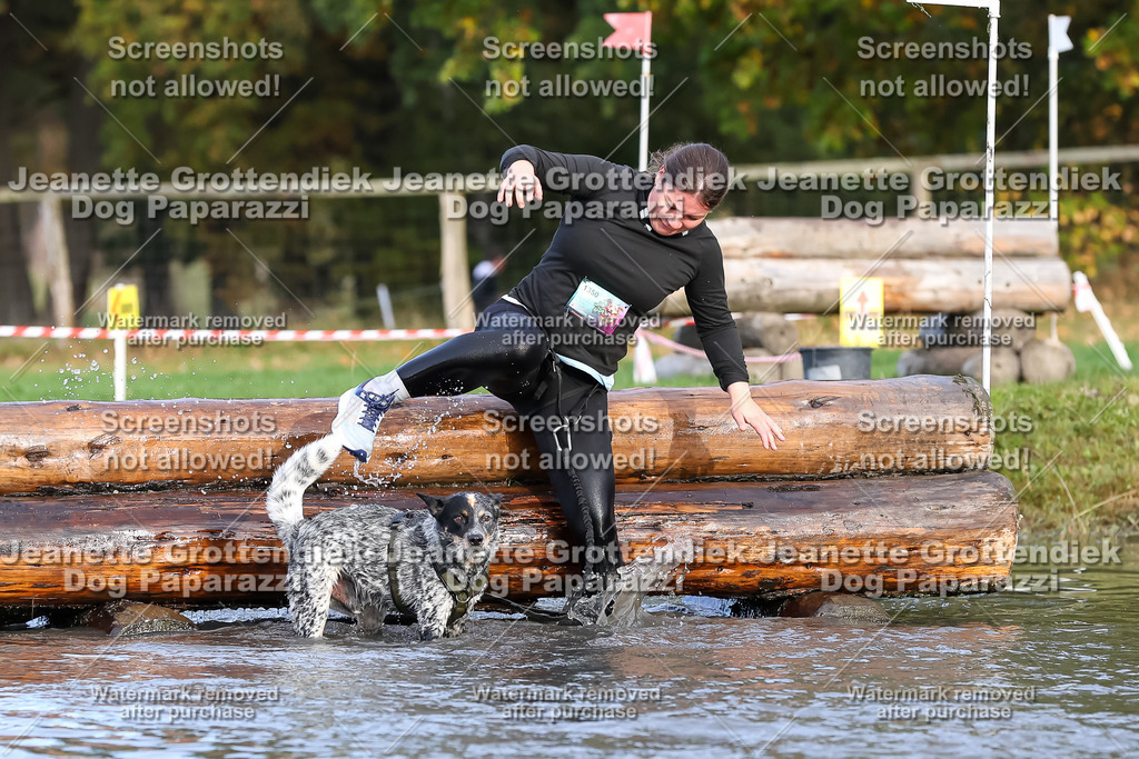 Dog Paparazzi - Strongdog 10-25-8258 | Dog Paparazzi Jeanette Grottendiek Fotografie & Videografie - Realisiert mit Pictrs.com