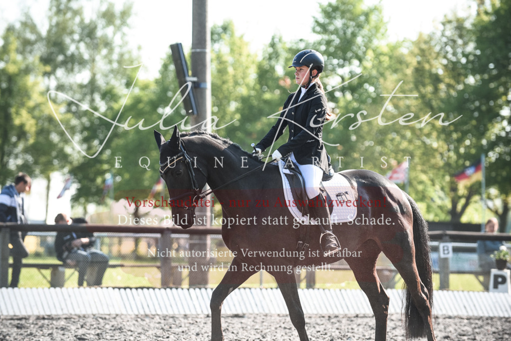 DSC_8318 | Pferde- und Turnierfotografie in Westsachsen. Pferdeportraits, Auftragszeichnungen und intuitive Kunst.