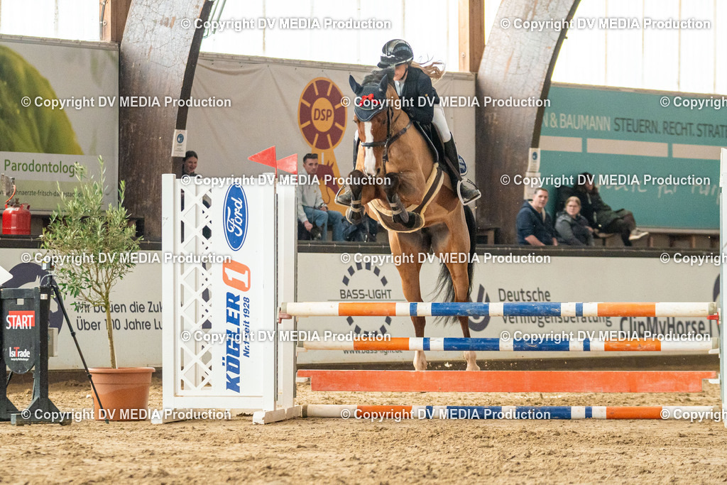 Kranichstein Tag 1-026 | dv-media-shop - Realisiert mit Pictrs.com