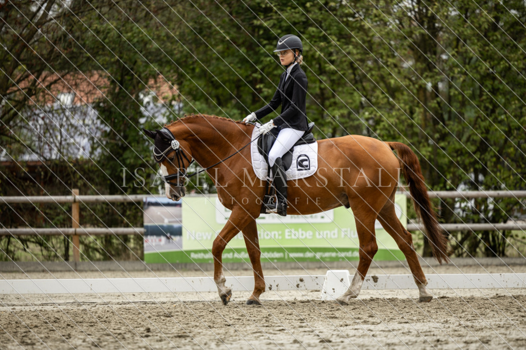DK5A6761 | Isabel Marstall Fotografie - Realisiert mit Pictrs.com