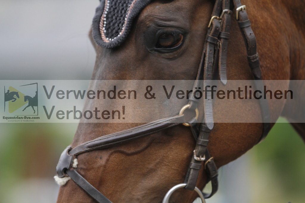 _MG_8365 | equestrian-live-com