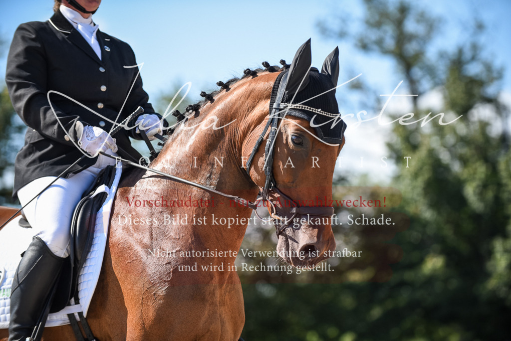 DSC_9655 | Pferde- und Turnierfotografie in Westsachsen. Pferdeportraits, Auftragszeichnungen und intuitive Kunst.