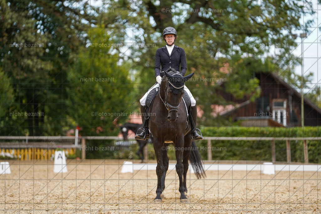 20231007-SN_00540 | Diessen am Ammersee, 2023, Dressur- und Springturnier, Reitsport, Turnierfotografie, Pferdebilder, Reitbilder, Turnierfotografen Bayern, Fotoagentur Herrmann