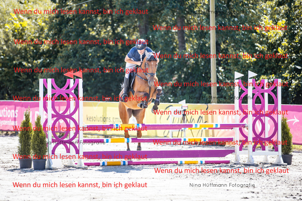BK1A5237 | Turnierbilder Turnierfotos Nina Hüffmann Turnierfotografie Pferdefotografie Tierzeichnung Haustierzeichnung Pferdezeichnung Hundezeichnung Videograf  - Realisiert mit Pictrs.com