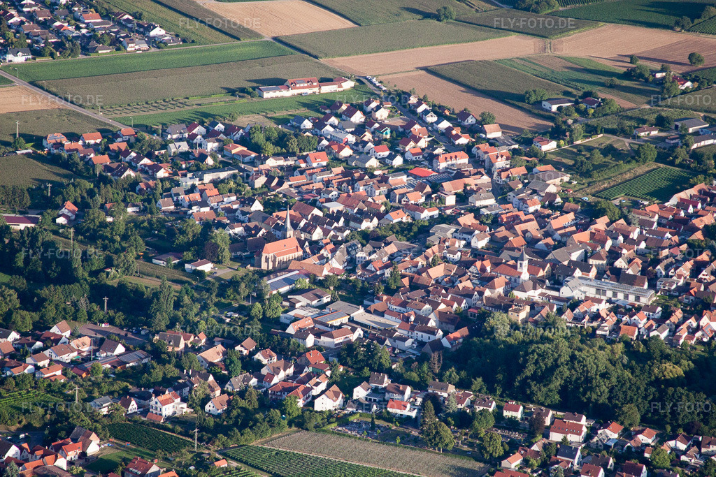 Luftbild: Ortsansicht im Ortsteil Appenhofen in Billigheim-Ingenheim im Bundesland Rheinland-Pfalz in Deutschland. Foto: IMG_51350.jpg vom 04.08.2012 durch Werner Riehm/FLY-FOTO.de