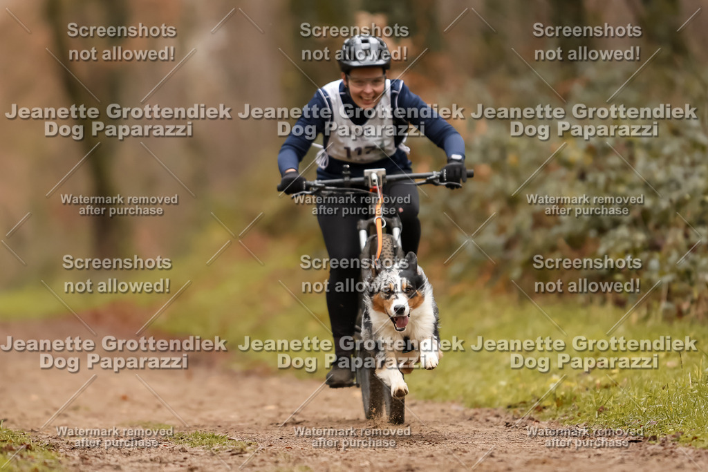 Dog Paparazzi - Speedhunter Mannheim  2025-325 | Dog Paparazzi Jeanette Grottendiek Fotografie & Videografie