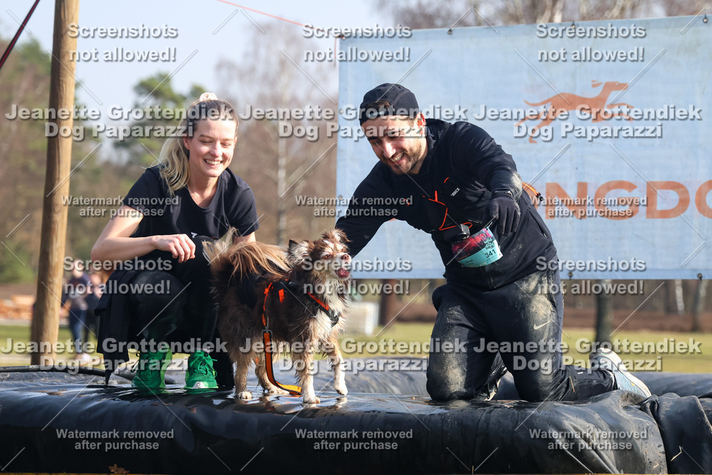 Dog Paparazzi - Strongdog North Mrz26-1657 | Dog Paparazzi Jeanette Grottendiek Fotografie & Videografie - Realisiert mit Pictrs.com