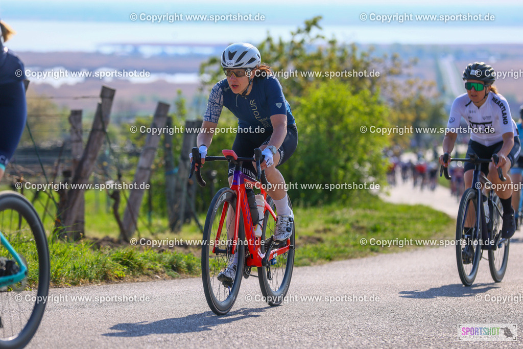 TRA_0283 | Neusiedlersee Radmarathon 2026@sportshot_your_pictrs #yourpictures#roadtowm2029 #nrm #neusiedlerseeradmarathon #neusiedlersee #neusiedlerseetourismus #burgenland #mörbisch #nrm26 #burgenlandtourismus #voglundco #poweredbyburgenlandtourismus #radsport #rad #marathon #ucigranfondo #visitburgenland #ucigranfondoworldseries