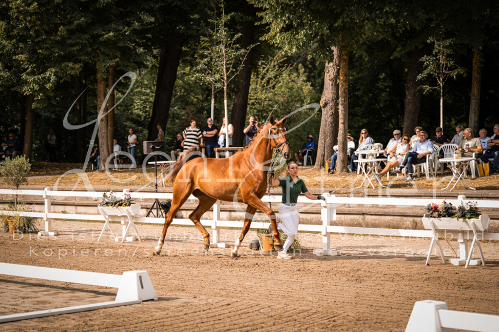 FrER00064 | Leoni Ertmer Photography - Realisiert mit Pictrs.com