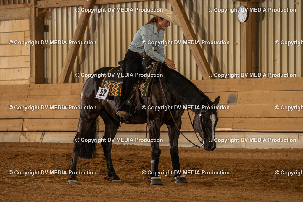 NID01991 | dv-media-shop - Realisiert mit Pictrs.com