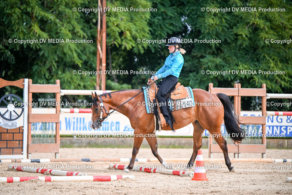 ZS2_3513 | dv-media-shop - Realisiert mit Pictrs.com