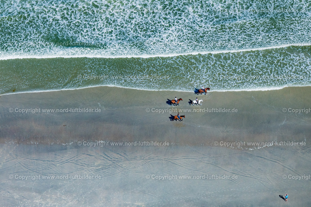 Norderney_Strand_Reiter_ELS_6654050923 | NORDERNEY 05.09.2023 Reiter mit ihren Pferden im Wasser und am Sandstrand-des Nordstrandes der Insel Norderney im Bundesland Niedersachsen, Deutschland. // Riders with their horses in the water and on the sandy beach of the northern beach of the island of Norderney in the state of Lower Saxony, Germany. Foto: Martin Elsen