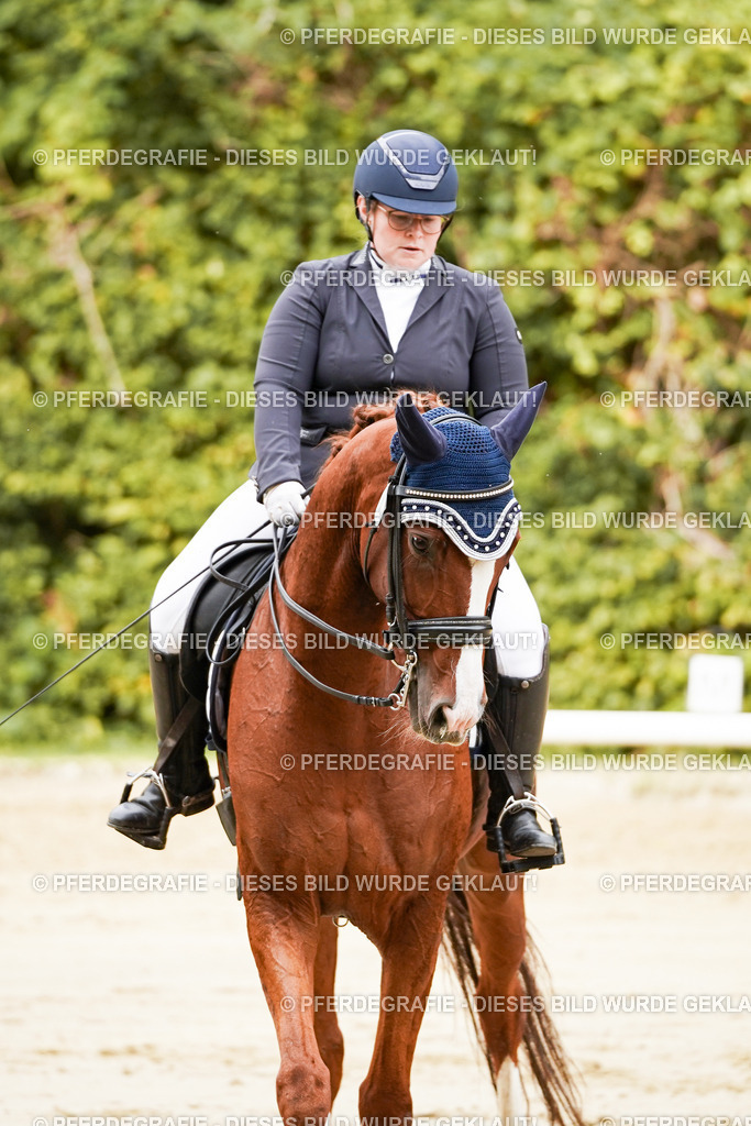 DSC03016 | Pferdegrafie