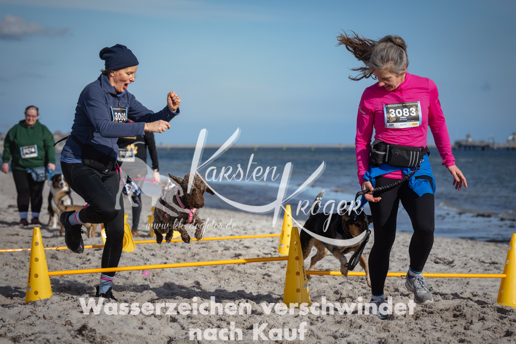 1348_ZZ93756 | kk-dogfotos