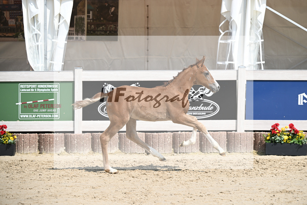 Arezzo Man x Zinedream_HF_Lohmiller_12250419 | hf-fotografie - Realisiert mit Pictrs.com