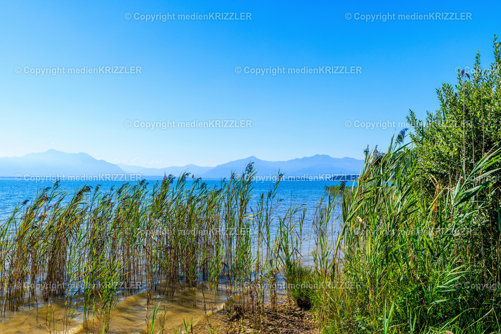 _J3A8505 | medienkrizzler - Realisiert mit Pictrs.com