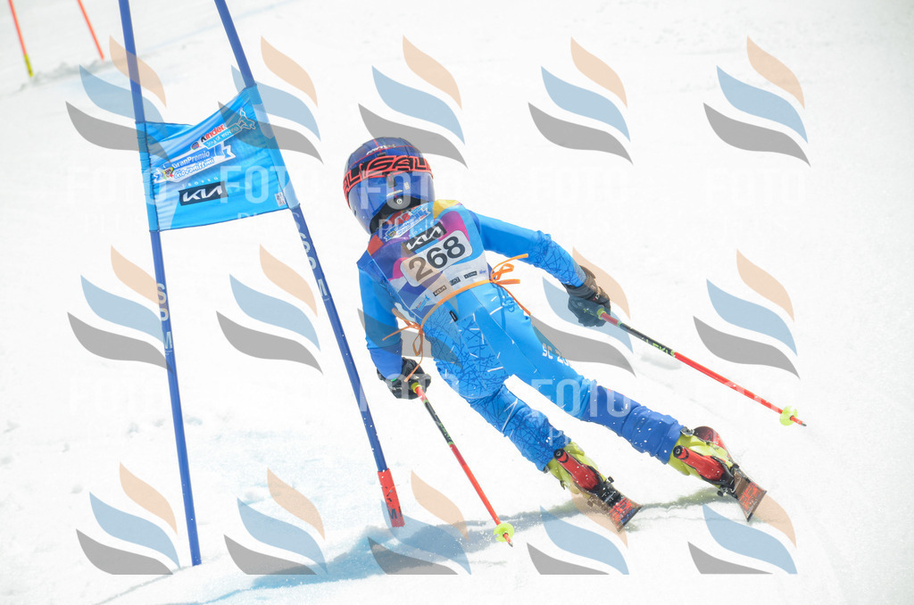 _ELE7784 | holidayphoto