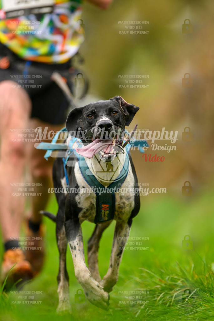 MompixPhotography_20TSB_E8_Run-168 | PayLife