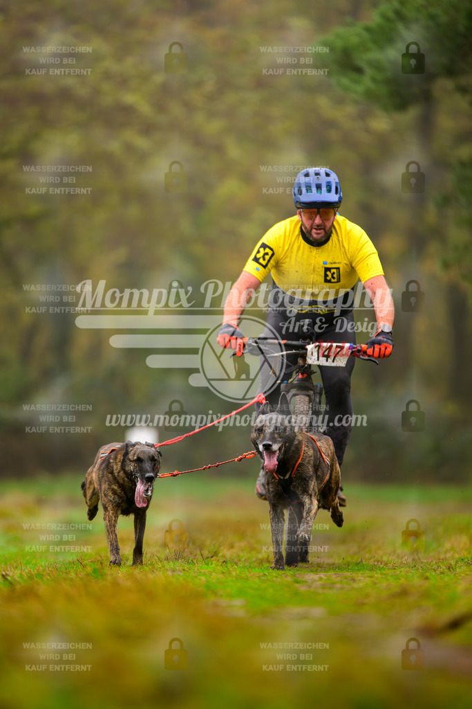 MompixPhotography_Bischwiller2025_Bike-128 | mompixphotography