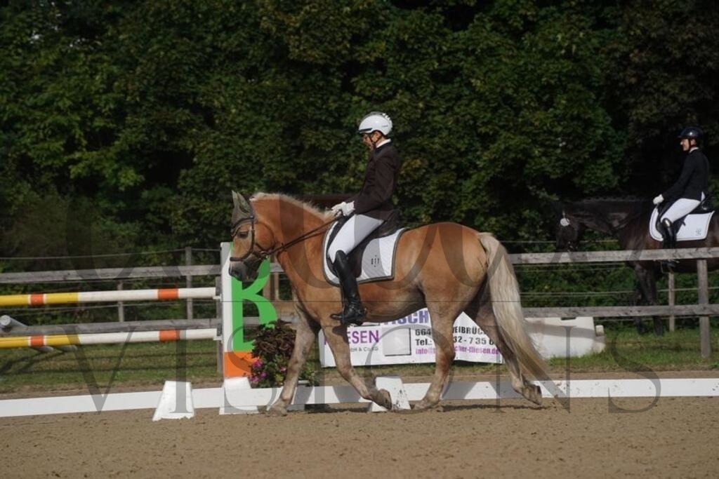 rveinoedsamstag (552) | d.tail Visions - Shop - Realisiert mit Pictrs.com