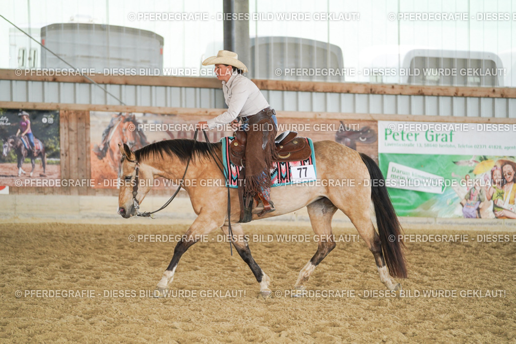 DSC01880 | Pferdegrafie