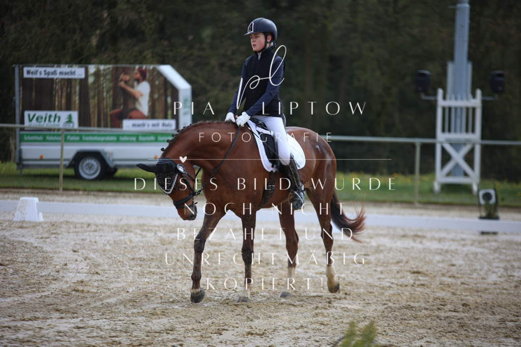 IMGT2256 | pl-fotografie