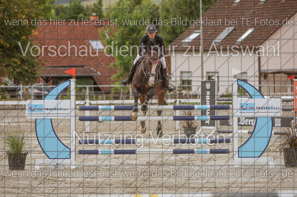 2025-09-22_11-30-47_MG_0131 | TE-Fotos