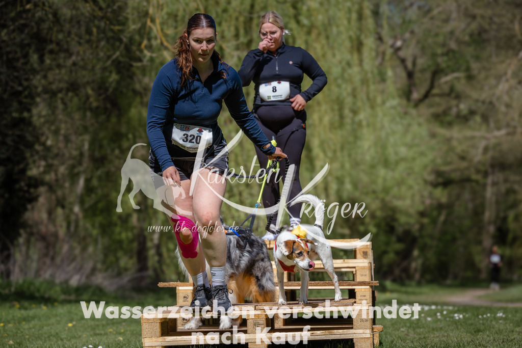 1236_ZZ92641 | kk-dogfotos