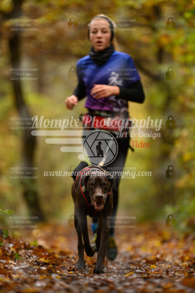 MompixPhotography_CD7S_DI_CCL-86 | mompixphotography