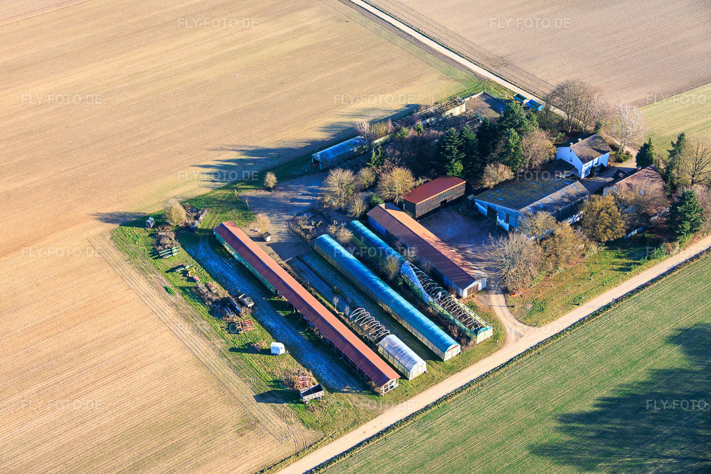 Luftbild: In den Kieseläckern in Wörth am Rhein im Bundesland Rheinland-Pfalz in Deutschland. Foto: IMG_152546.jpg vom 31.12.2025 durch Werner Riehm/FLY-FOTO.de