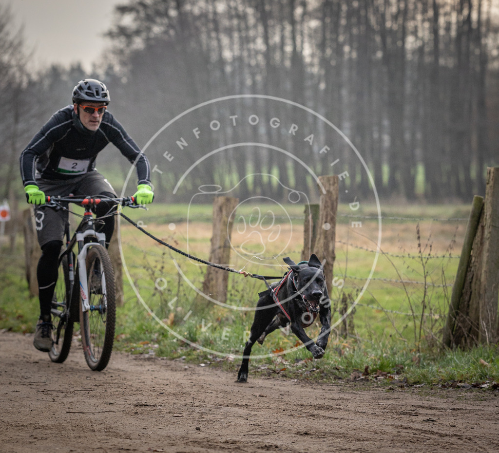 Pfotenfotografie_DV3A1514 | Hundefotografie, Tierfotograf, Pfotenfotografie, Fotoshooting Hund, Hunde Portrait, Hundesport, Hundeportraits, Heideshooting, Hunde, Sportfotograf, Hundefotograf, Turnierhundsport, THS,  - Realisiert mit Pictrs.com
