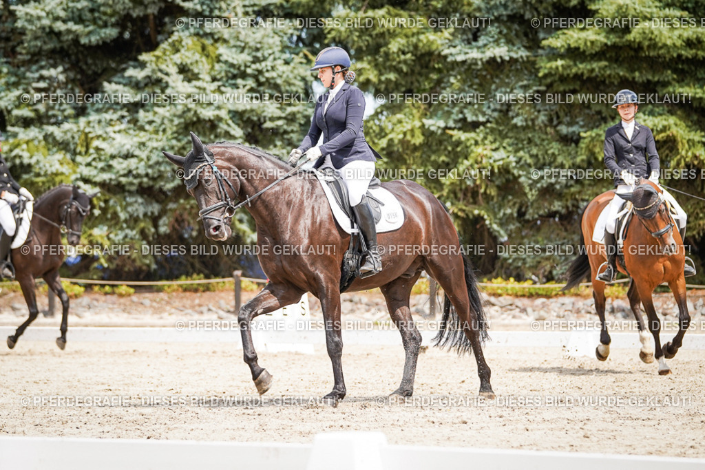 DSC03500 | Pferdegrafie