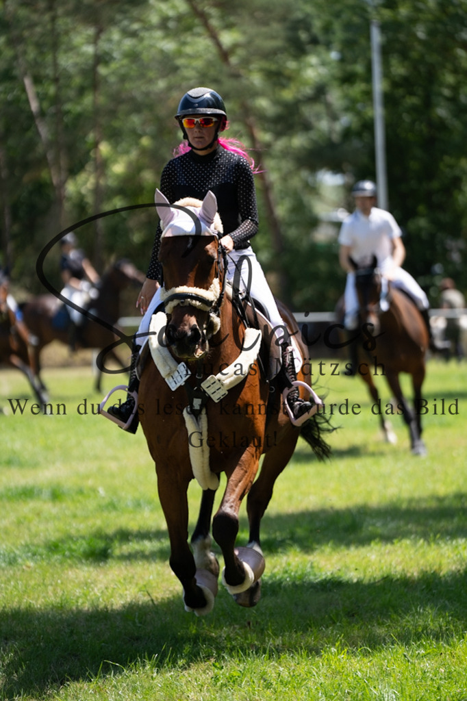 A7V06155 | Pferdefotograf