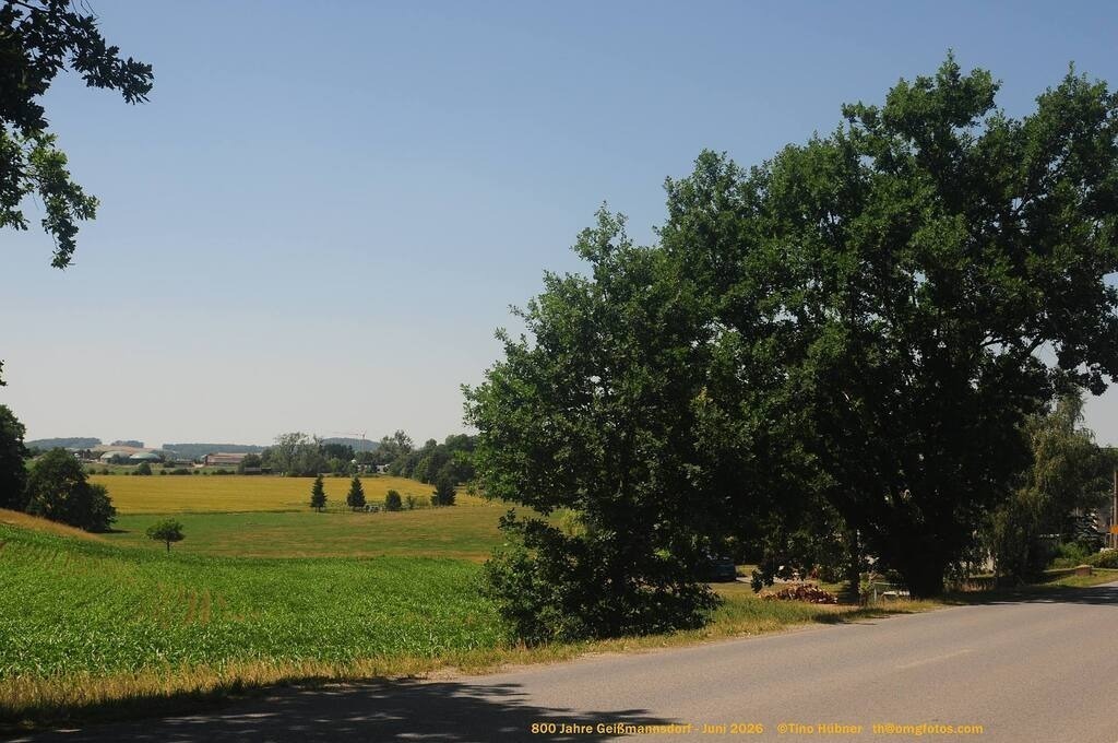 Geißmannsdorf-2026-Ortsbilder-542 | Geißmannsdorf bei Bischofswerda im Sommer 2026. Ein fotografischer Streifzug durch das Dorf Geißmannsdorf, mit Gebäuden, Straßen, Strohpuppen und geschmückten Vorgärten und Grundstücken anlässlich der 800-Jahr-Feier von Geißmannsdorf im Juni 2026 - Realisiert mit Pictrs.com