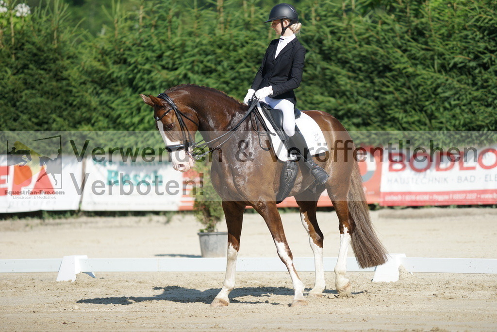 DSC02885 | equestrian-live-com