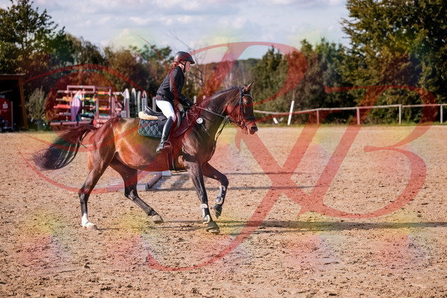 2026_10_03_Siefer-Hof_155952_Z81_80262092 | Professionelle Reitsport-, Turnier- und Eventfotografie von Robert Broda. Galerien mit ausgewählten und bearbeiteten Bildern direkt online ansehen und bestellen.