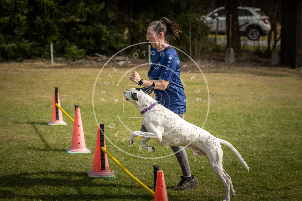 Pfotenfotografie_DV3A9529 | Hundefotografie, Tierfotograf, Pfotenfotografie, Fotoshooting Hund, Hunde Portrait, Hundesport, Hundeportraits, Heideshooting, Hunde, Sportfotograf, Hundefotograf, Turnierhundsport, THS,  - Realisiert mit Pictrs.com
