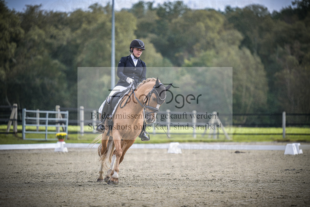 DOS_B533 | Entdecke hochwertige Reitturnierfotos von Foto Oger. Professionell, emotional und authentisch – jetzt Lieblingsmomente im Shop bestellen.Deutschlandweite Turnierfotografie. - Realisiert mit Pictrs.com