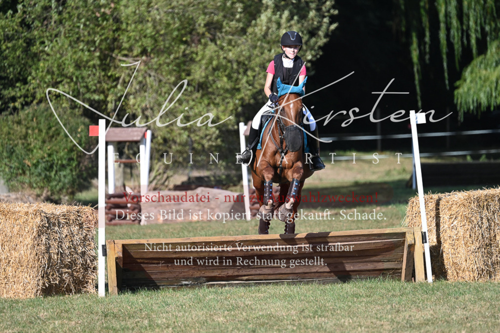 DSC_8929 | Pferde- und Turnierfotografie in Westsachsen. Pferdeportraits, Auftragszeichnungen und intuitive Kunst.