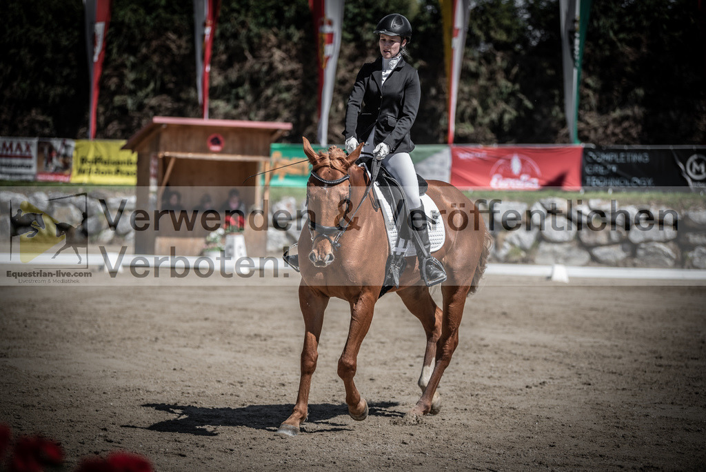 DSC_0093 | equestrian-live-com