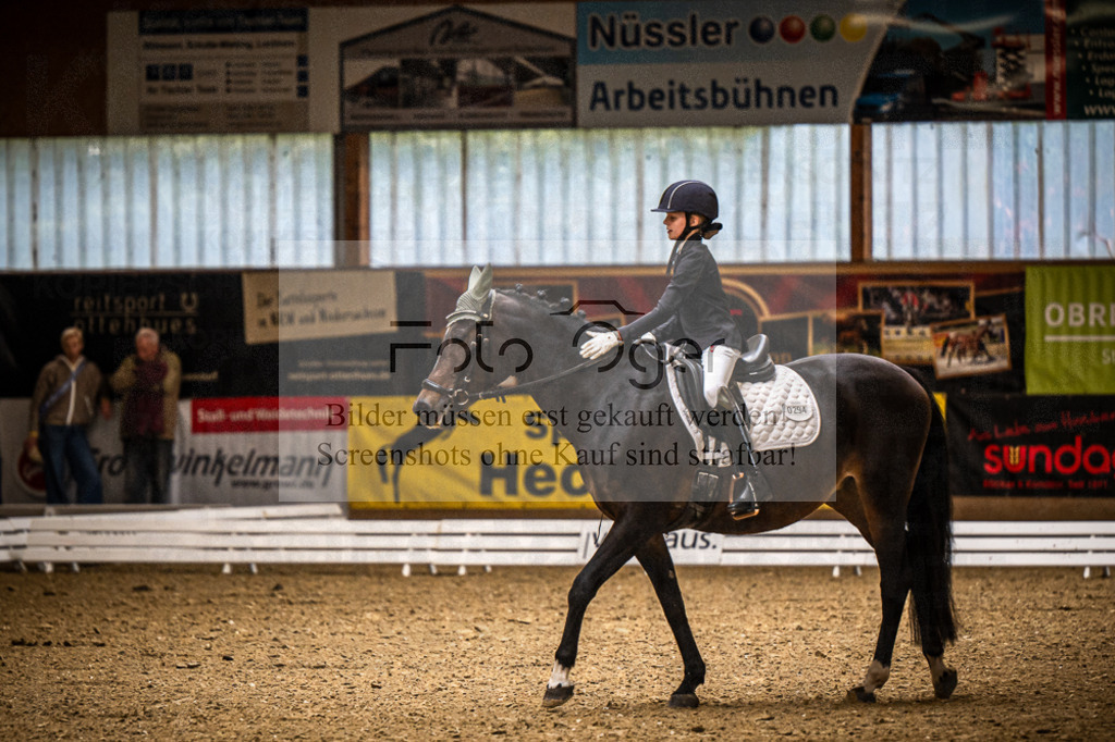 DOS_0189 | Entdecke hochwertige Reitturnierfotos von Foto Oger. Professionell, emotional und authentisch – jetzt Lieblingsmomente im Shop bestellen.Deutschlandweite Turnierfotografie. - Realisiert mit Pictrs.com