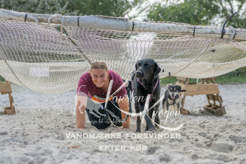 1237_ZZ92179 | kk-dogfotos