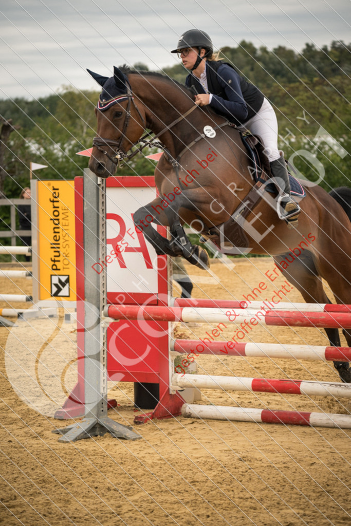 DSC_8249 | Sport-, Event- und Tierfotos in Profiqualität. Einfach auswählen, bestellen und herunterladen. Dein Moment – perfekt festgehalten.